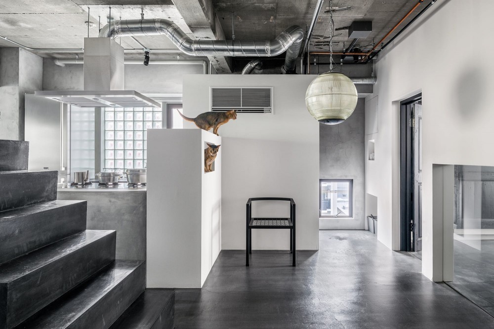 这才是真正的穷装，用裸墙玻璃隔断的127㎡新家，颜值竟然这么高