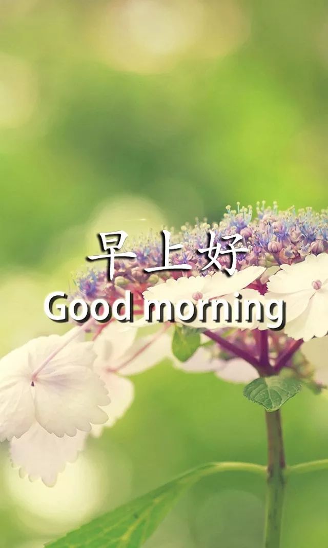 新周每日更新动态表情图片 拥有幸福的心，做快乐的自己图片