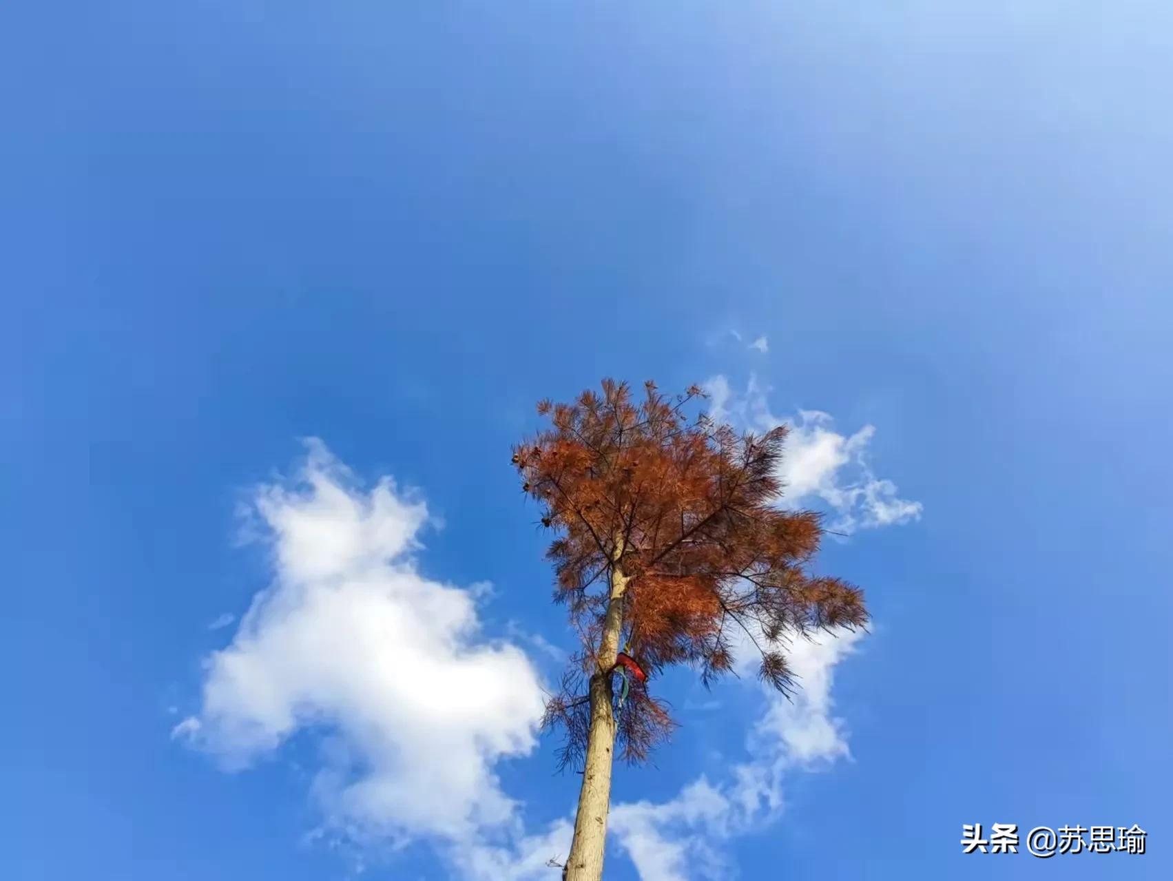 热门朋友圈文案