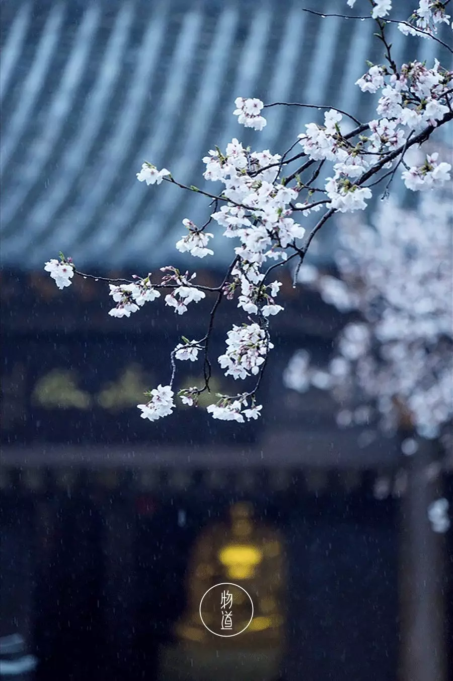 雨水：春雨至，万物生