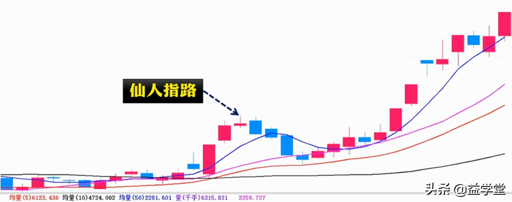 学会这招仙人指路，你的股票离盈利就不远了！小白股民更要看