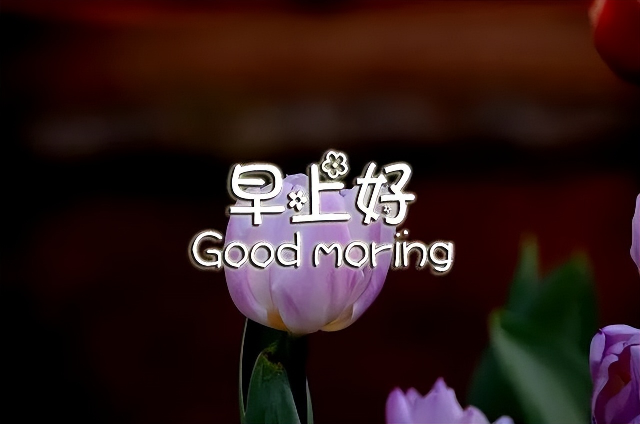 周五早上好朋友 微信早晨好问候祝福 幸福安康，一路精彩，一路芬芳图片