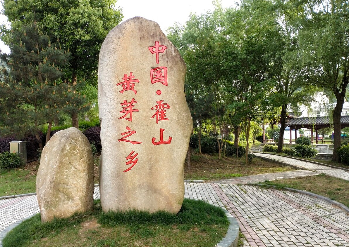 绿茶、白茶、黄茶、黑茶、青茶、红茶，中国6大茶类这下全看懂了