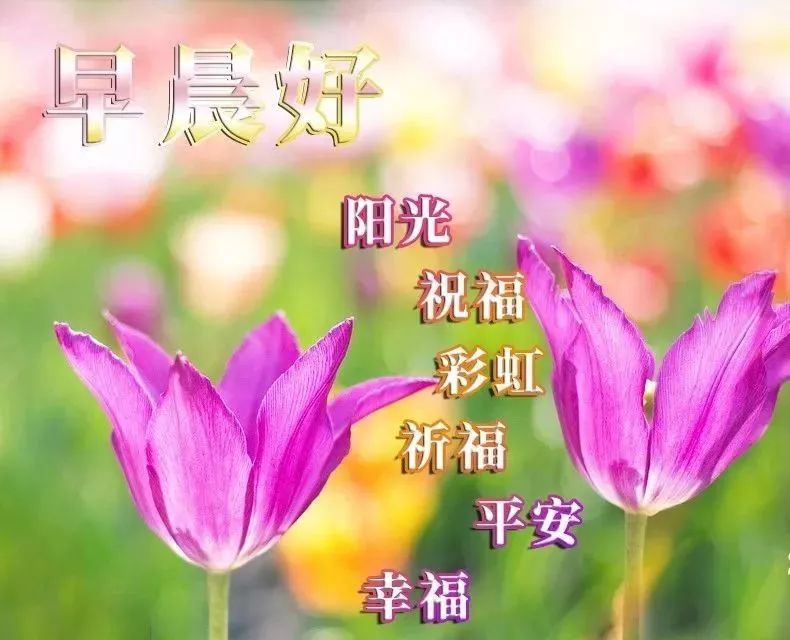 2022早安朋友圈早上好表情包，祝你好事连连，事事顺利，日日笑开颜图片