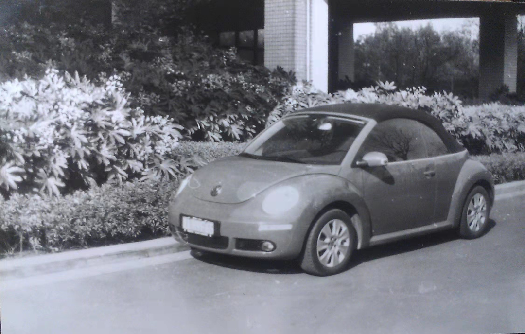 这门开设40年的课程，教学生如何捕捉美