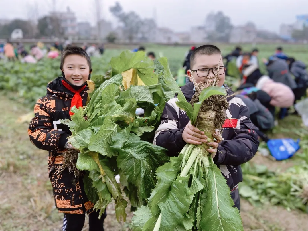 「城南小学•德育工作」小基地大收获 劳动实践快乐多