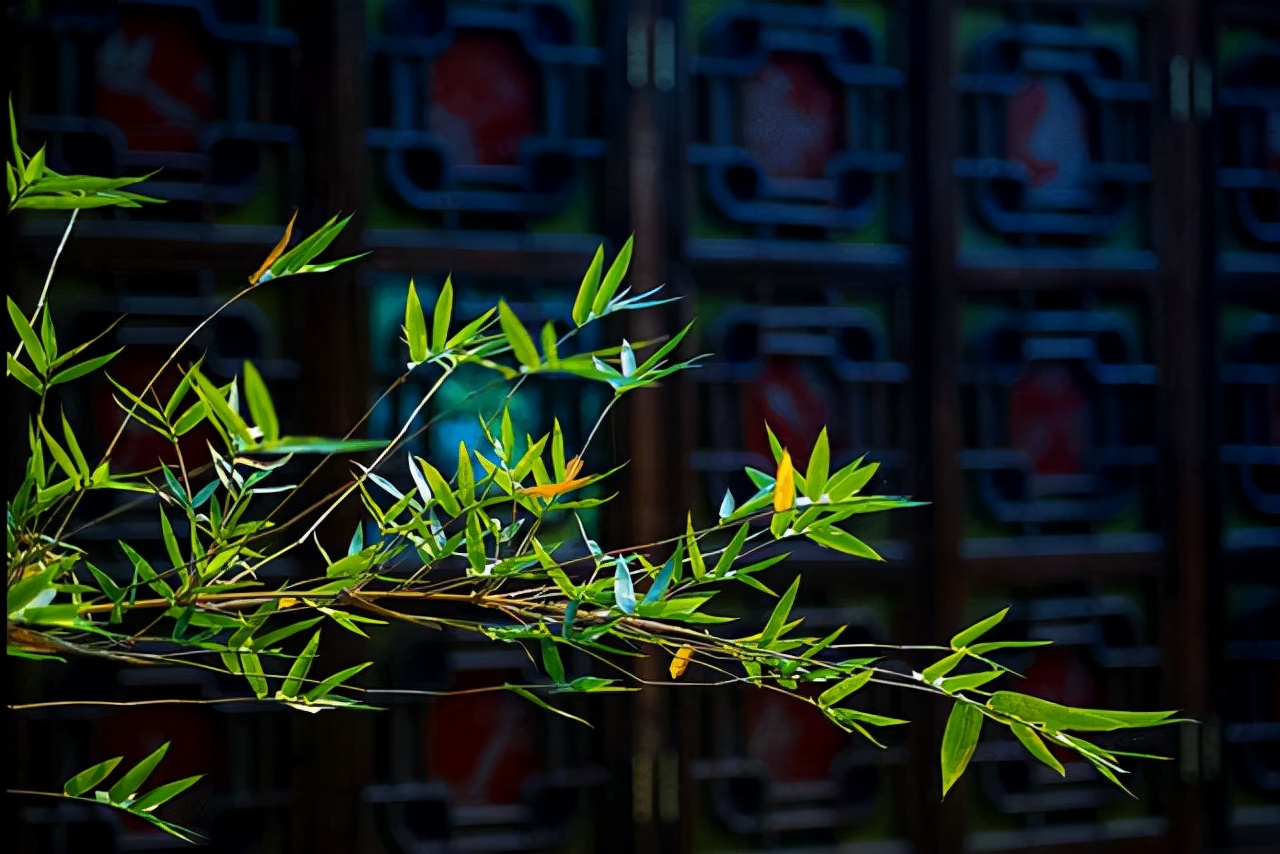 中国武侠十城：一半人间烟火，一半侠骨柔肠