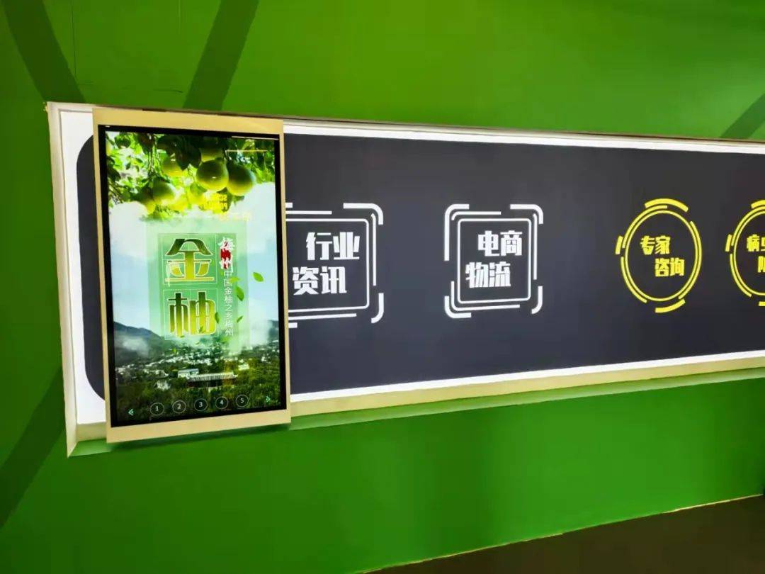 梅州金柚產業展廳 | 振邦案例