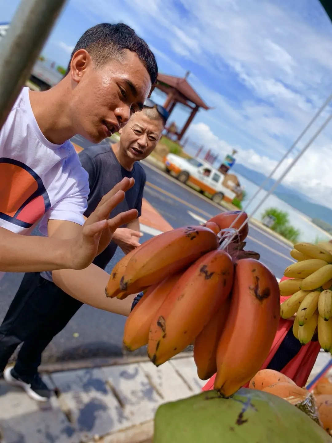 走,去海南过年去!撒网捕鱼、帆船体验、海鲜大餐,开心过大年