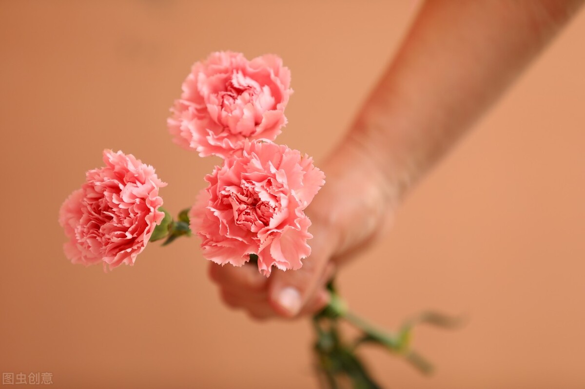 关于母爱的名言 赞美母亲伟大无私的经典好句(2)