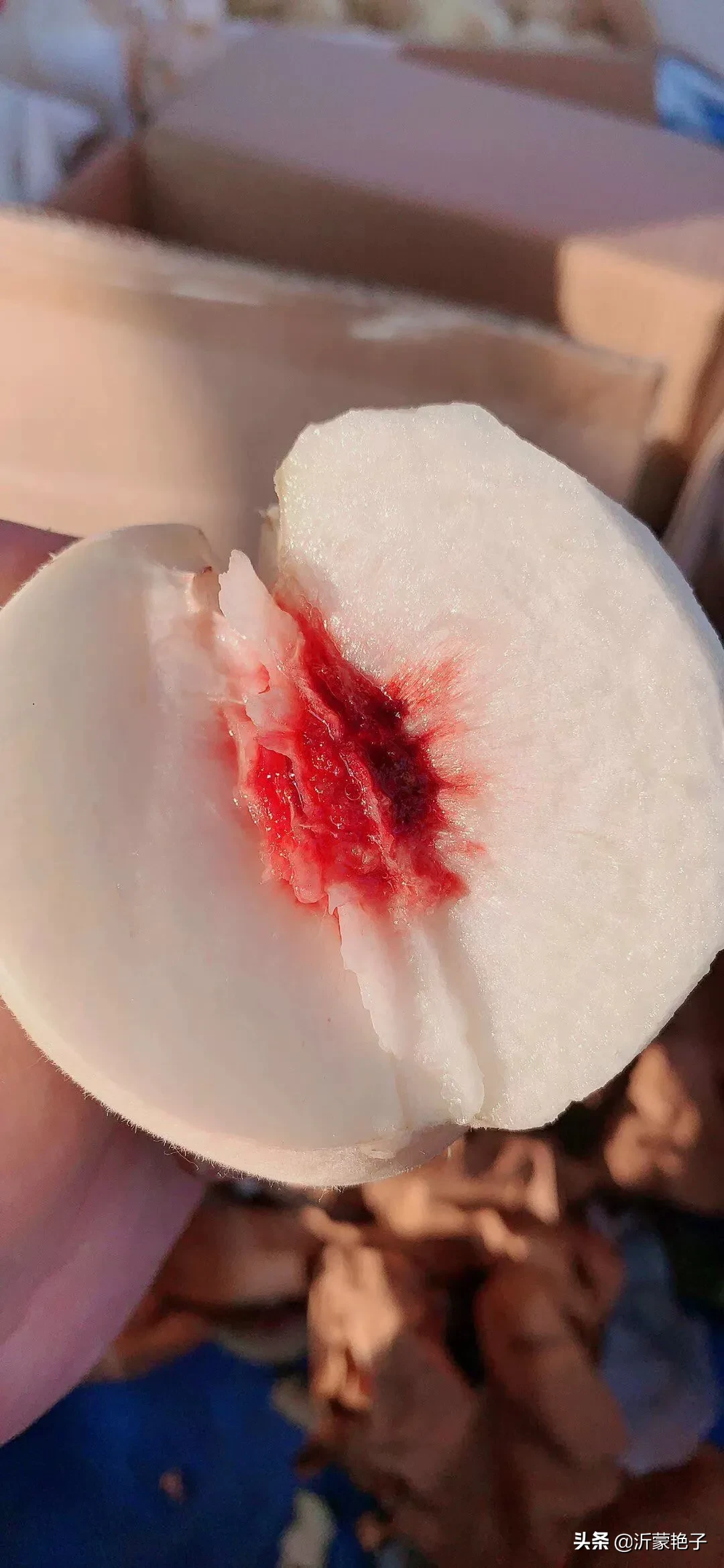 润肠通便助消化的蔬菜汤怎么做(秋季干燥，抓紧把这份汤羹做起来，促进消化润肠通便)