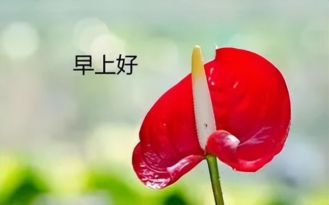 正能量早上好祝福 问候早晨好幸福语句，心态好则事事好图片