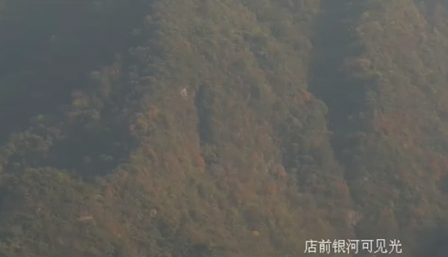 赛达科技推动森林防火地面全流程数字化监管体系建设