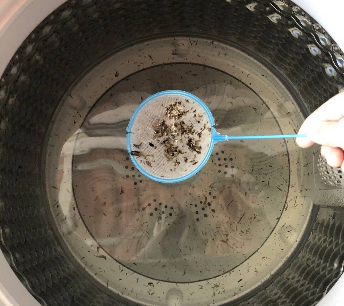 女生的贴身衣物到底脏不脏？千万别忽视，正确选择和清洗很重要