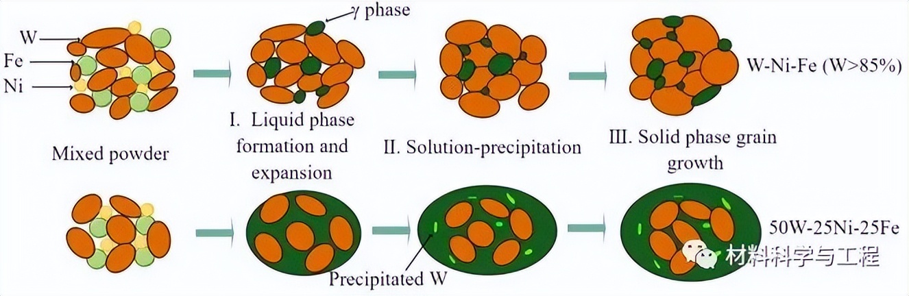 中南《Mater Des》：钨合金液相烧结的溶解-析出新机制及强化效果