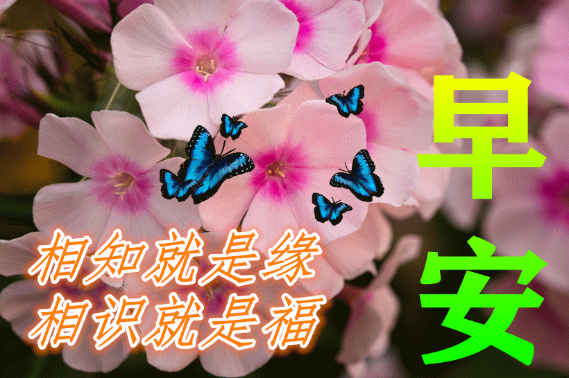 「2022.05.19」早安心语，正能量简单语录句子，治愈励志文案短句