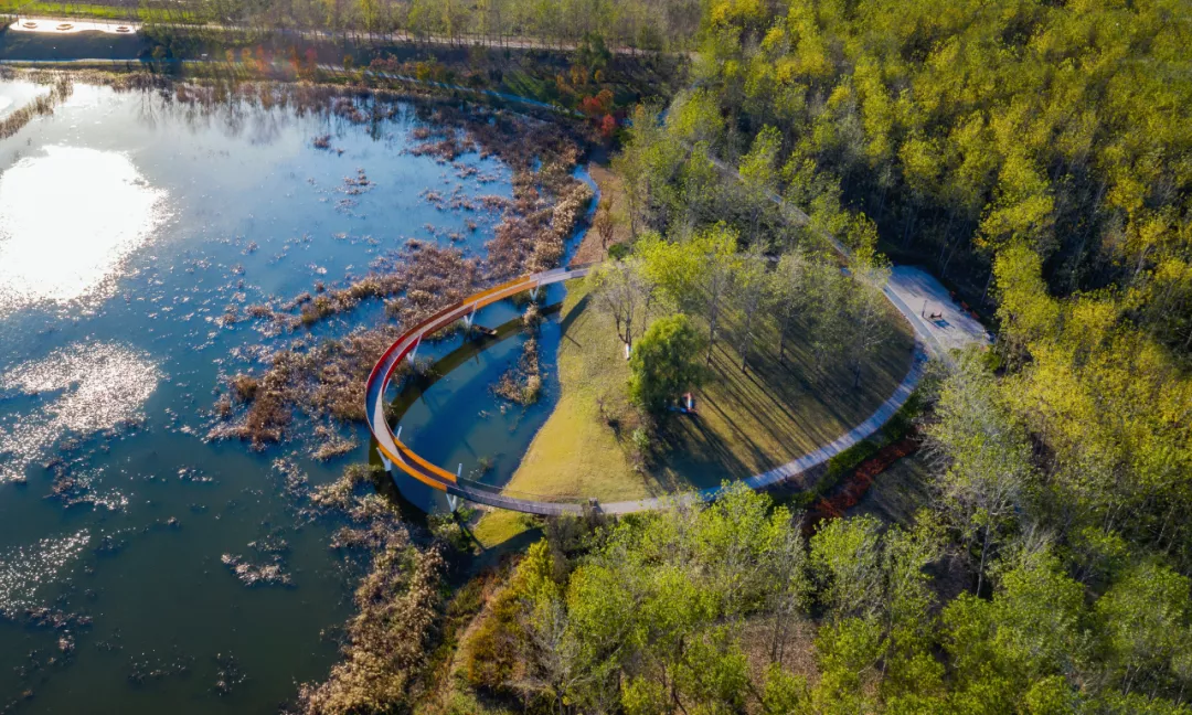 周口沙河湾湿地公园丨顺景园林