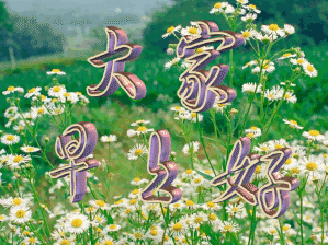 温馨早安问候语表情包，早上好祝福语短信，平安喜乐，大家早上好图片