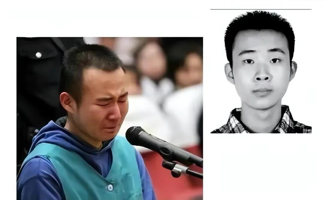 药家鑫案始末(药家鑫事件) - 情书号