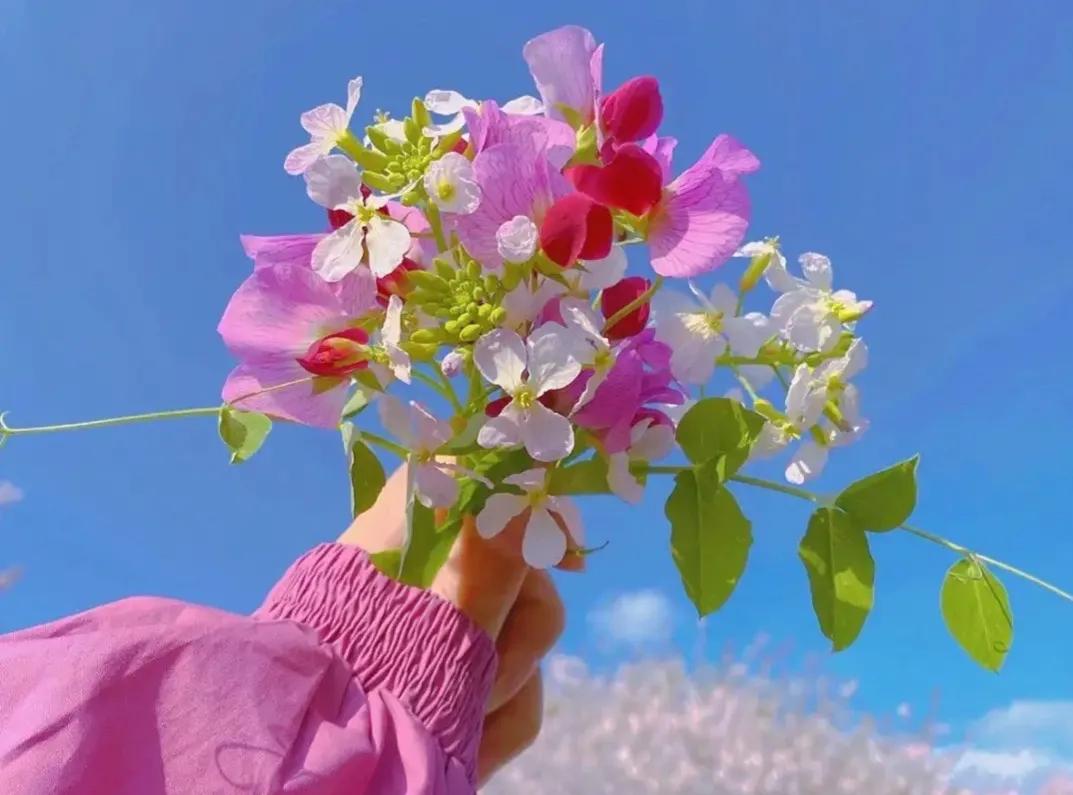 个体工商户可以注册商标吗（个人或者初创公司如何注册商标）