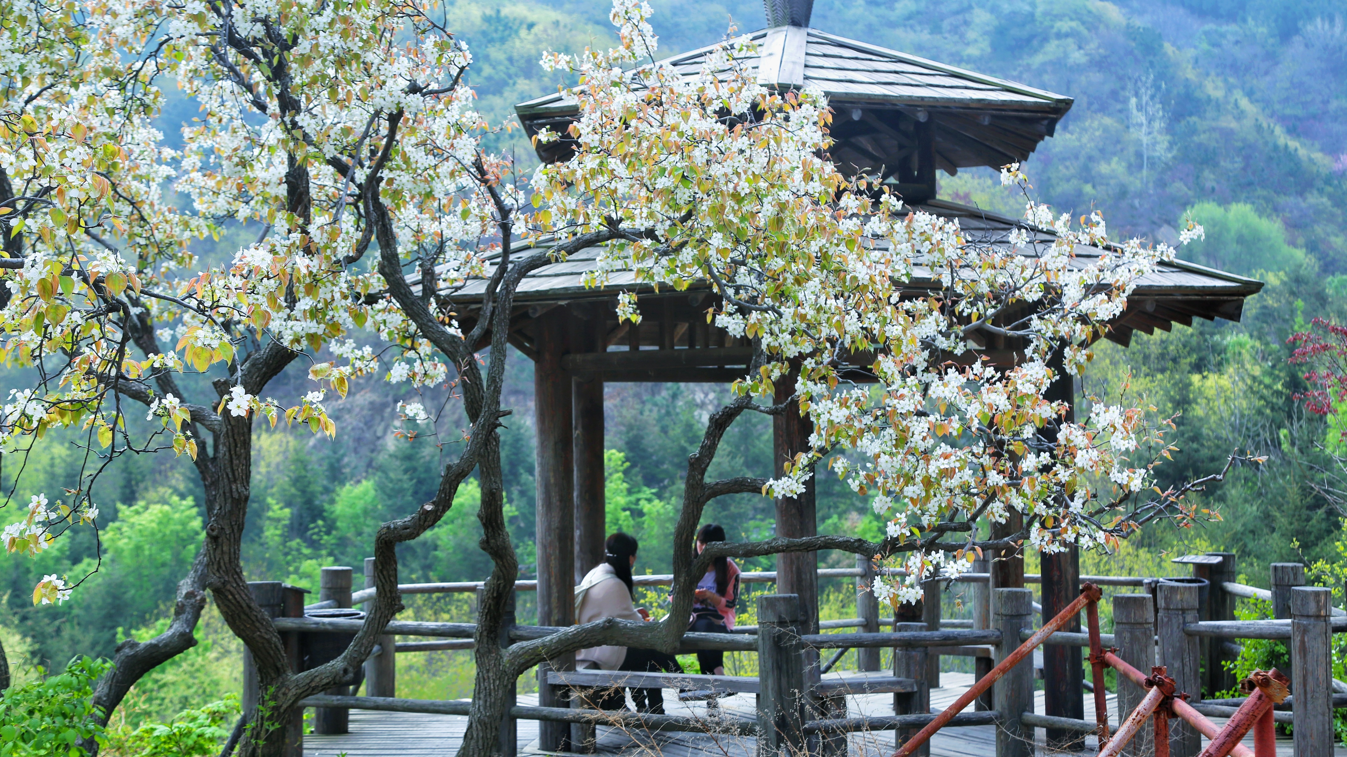 春日遛娃｜野餐 露营 手作…2天1夜攻略奉上