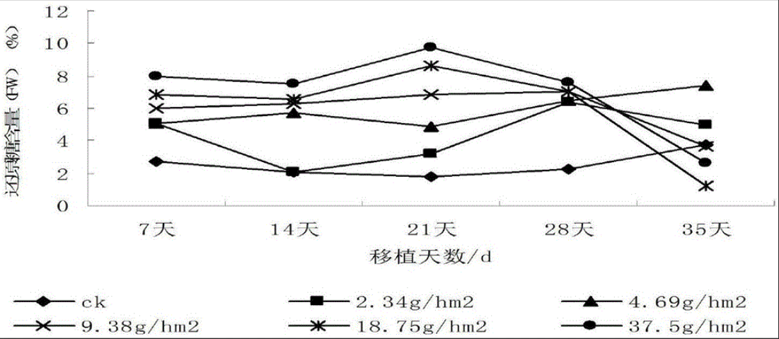 不同加工成熟度，对烤烟物理及化学特性，产生的影响进行深度研究