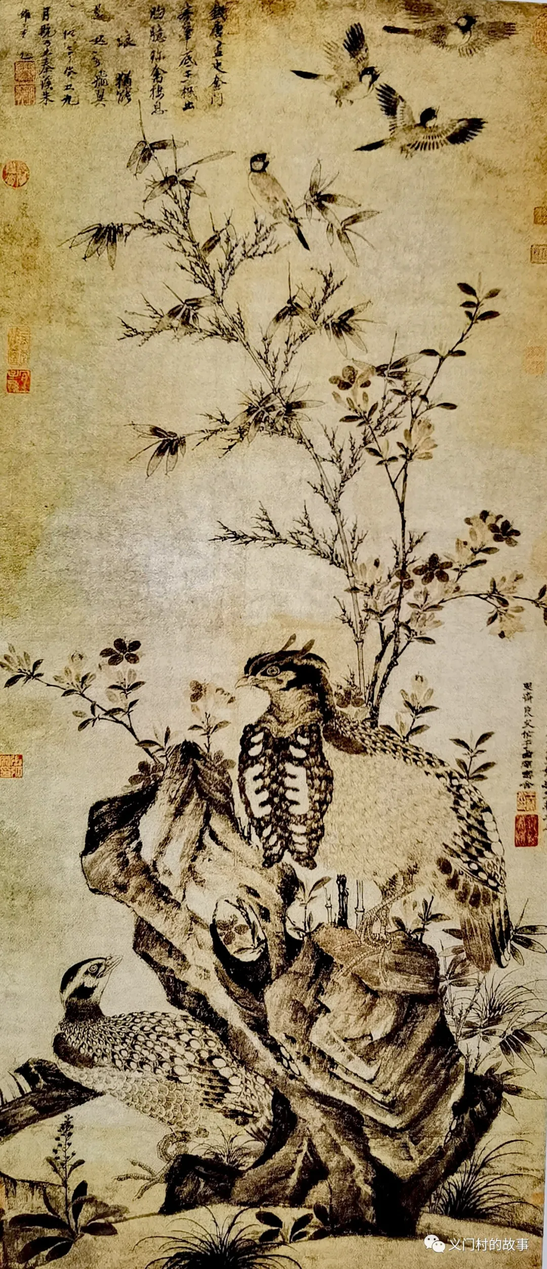 金鸡报晓 赏邮(鸡)话鸡(图)