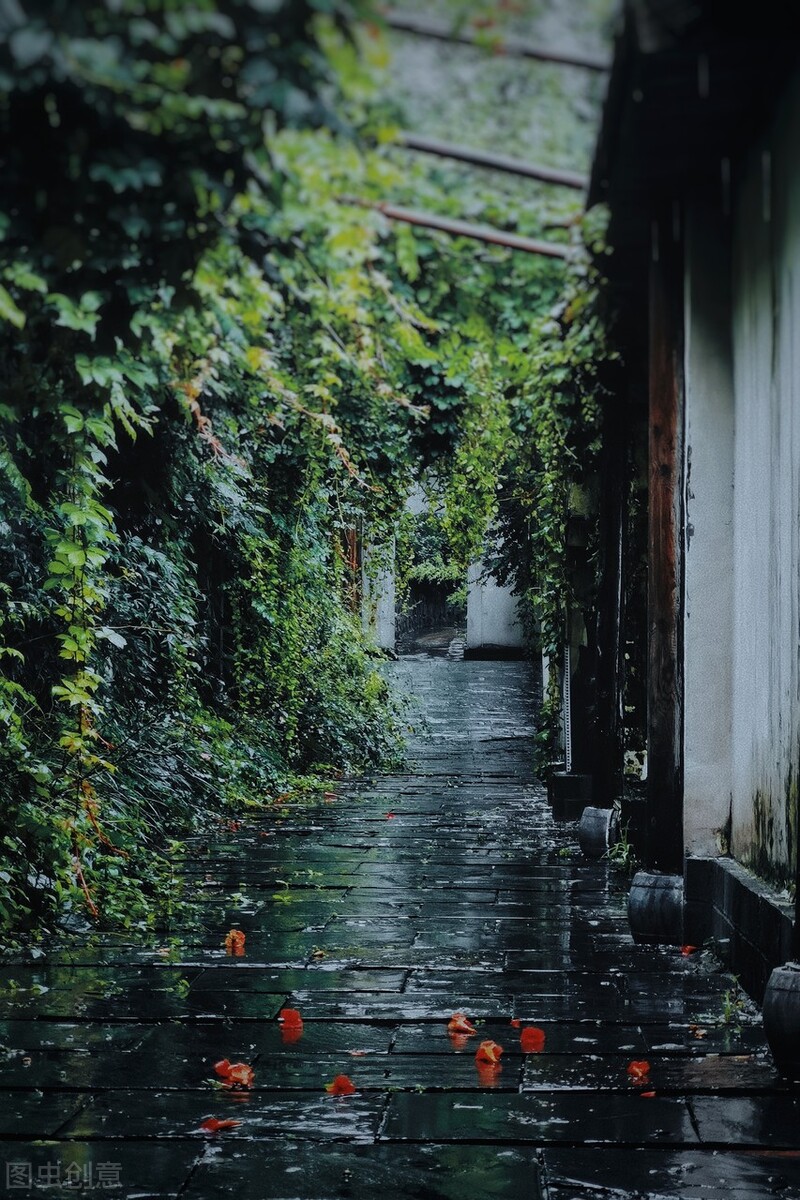 春雨｜我在等你，等下完这场雨