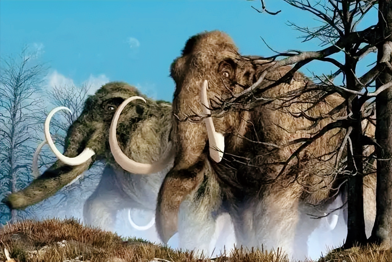 加拿大北部凍土帶內(nèi)：發(fā)現(xiàn)4萬年前的動物遺骸，人類該警惕了嗎
