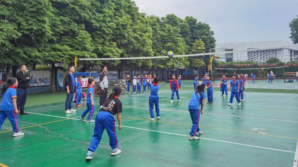 活力金小迎大运 阳光排球伴成长｜金桥小学排球联赛正式拉开帷幕