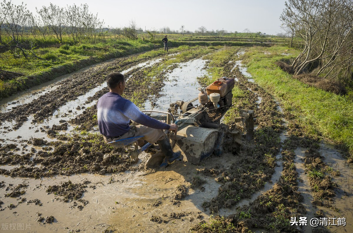 农用柴油补贴标准是多少？比上年有所增加