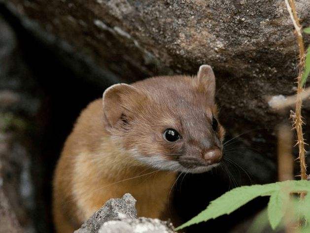 2005年,吉林山村尴尬事,村民深夜睡觉总尿床,老人:真丢人怎么见人