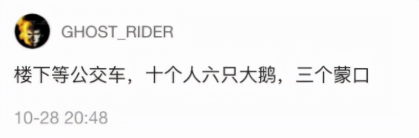 Moncler、Canada Goose……哪个才适合你？