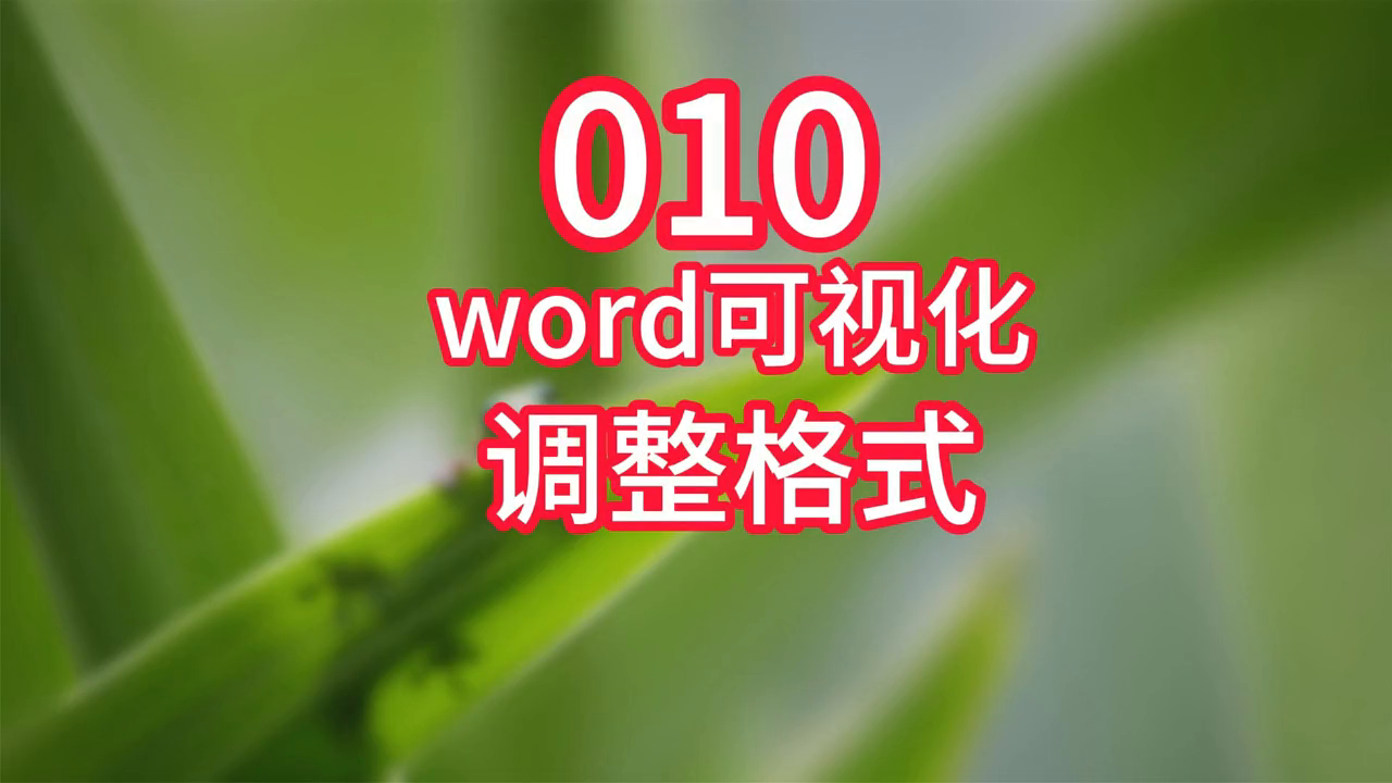 word可视化调整格式(word怎么调整下文格式)