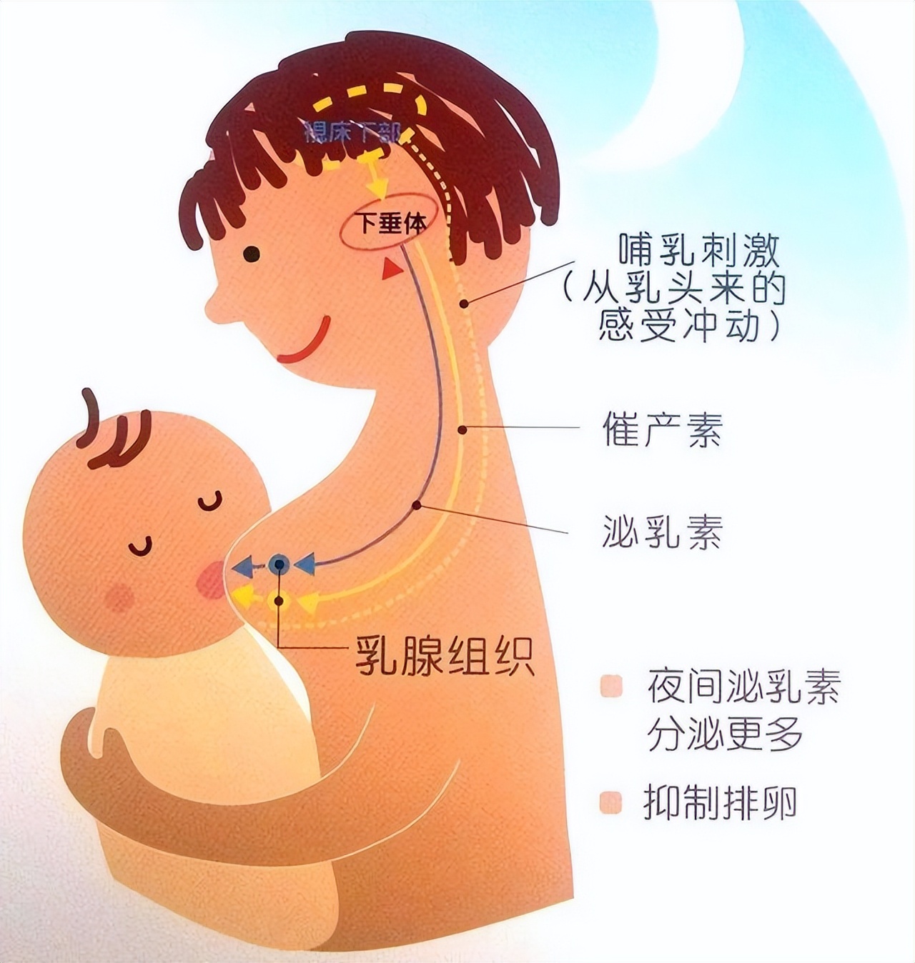 没有谁天生母乳就多，奶水不够孩子吃，可能是这5方面做错了