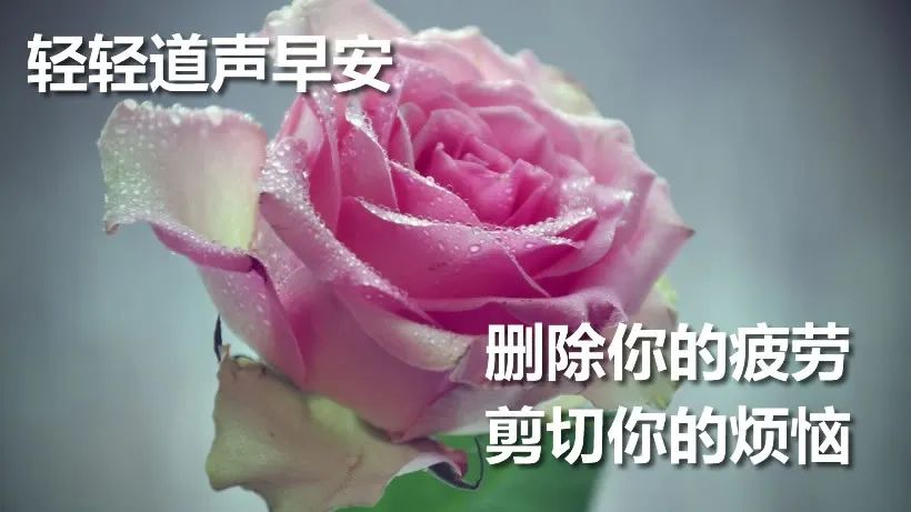 早上好表情大全 复制你的快乐 粘贴你的幸福 健康才是宝 快乐永不老图片