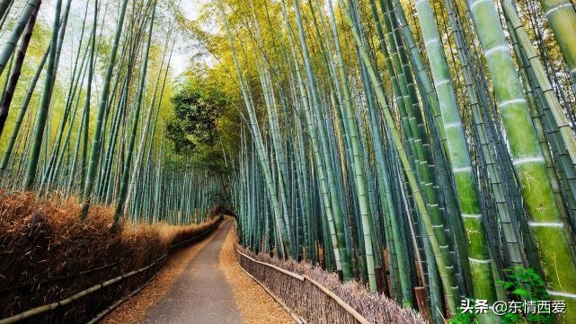 那些痛到撕心的句子，伤感虐心，疼到骨子里