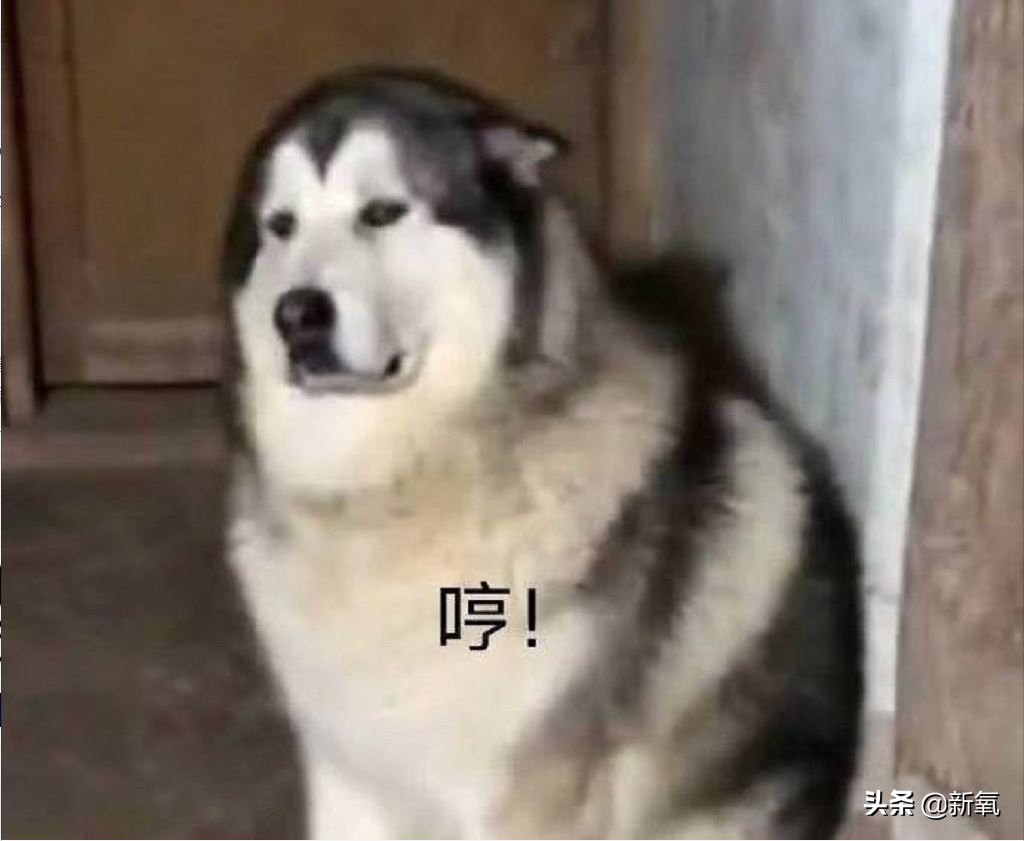 是给的太多了么？她俩之前可是厌恶舞台到顶级巡演都缺席不去…