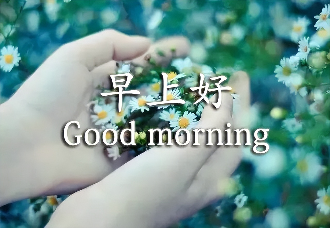 朋友圈早上好问候语 早安祝福语大全 天气多变，注意别感冒图片