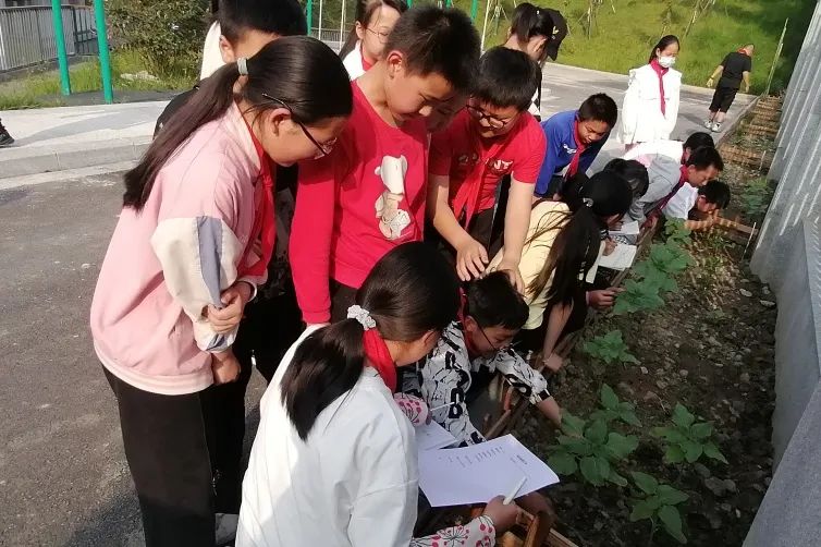 黄甲小学开展“人人参与科技节，我的科技节我做主”科技节活动