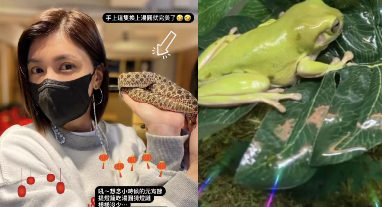 47岁贾静雯带孩子郊游！手捧虫子太抢镜，女儿脖子上挂条蛇好淡定