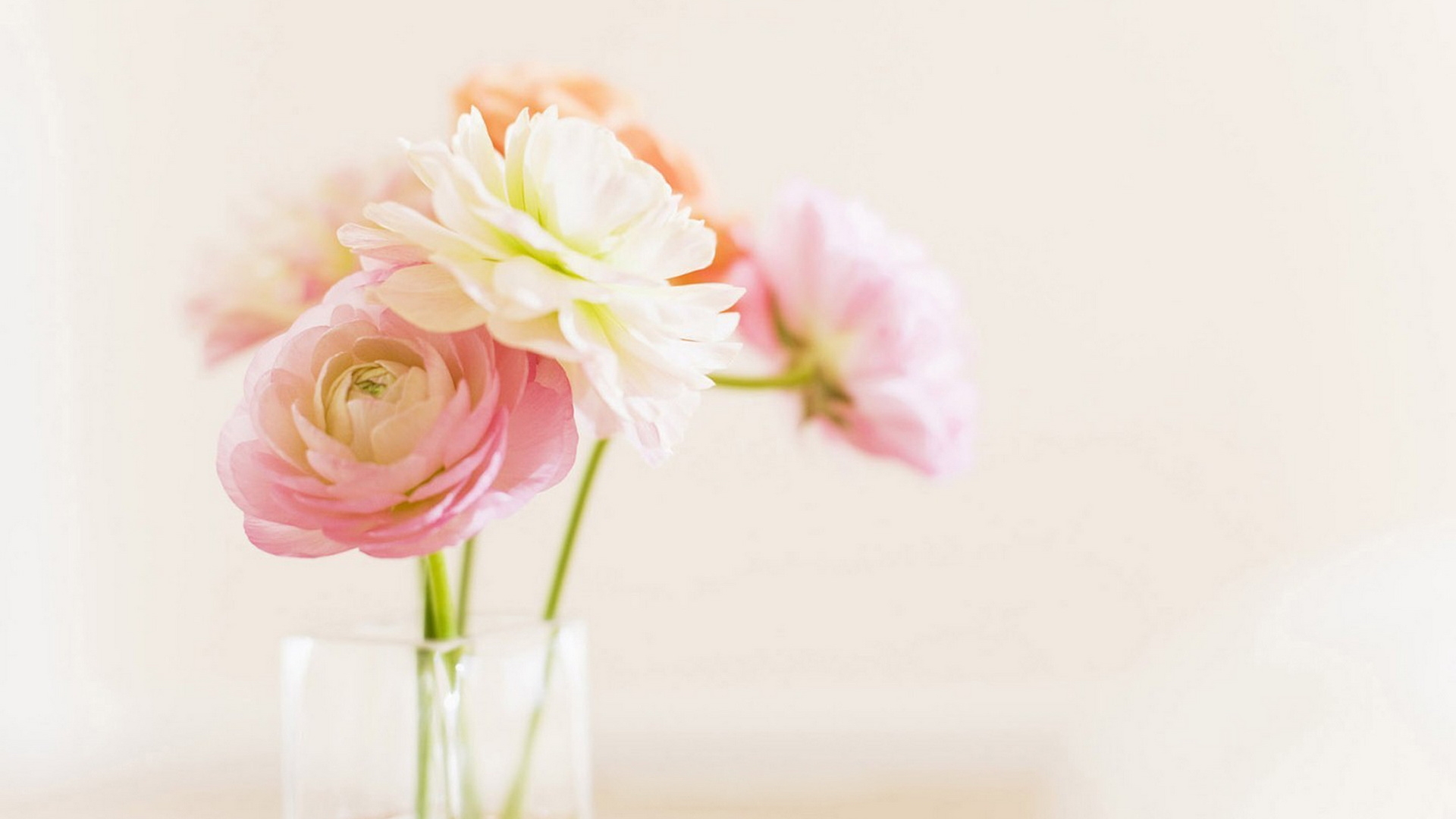 关于完美的话题的说说配图「简短」 _qq说说网