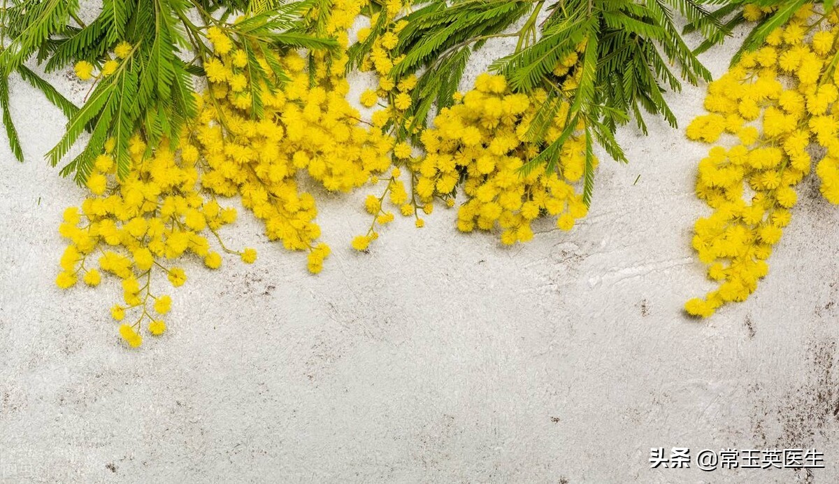 写在三月的古诗词10首