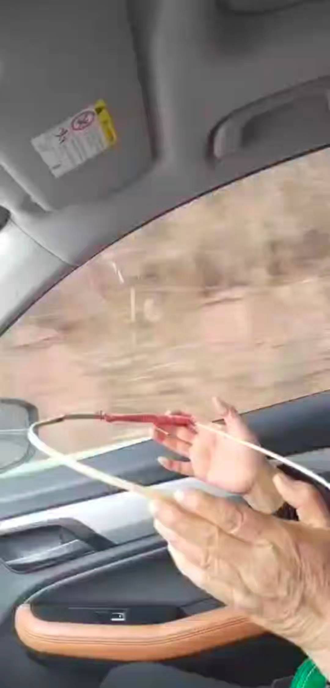 ����Ϊĸ�������ӷ����̣������κ��˼�ʮ���γ�����ë��