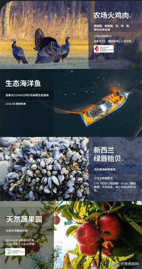 貓糧哪個牌子質(zhì)量好性價比高？多年鏟屎官選糧經(jīng)驗分享