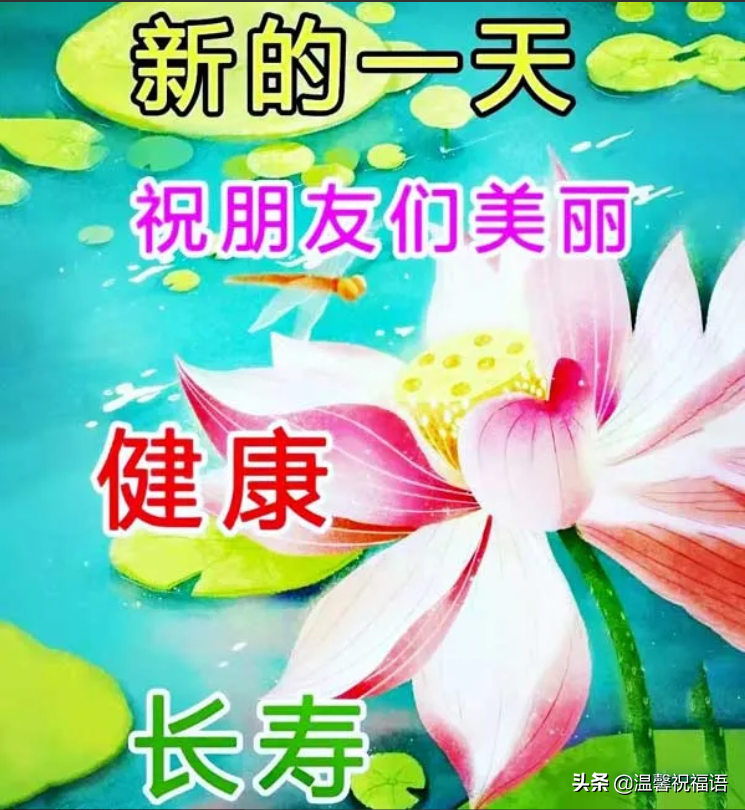 祝福语图片音乐图片