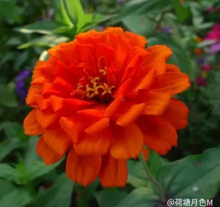 春天里，春风得意马蹄疾，一日看尽长安花