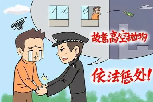「以案释法」略阳法院：全国首例高空抛物罪案