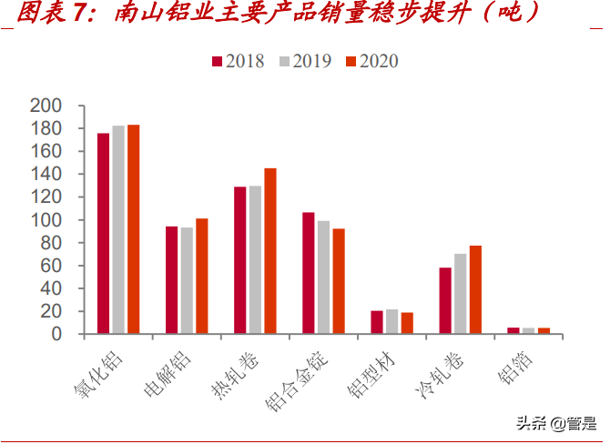 有色金属铝行业之南山铝业研究报告