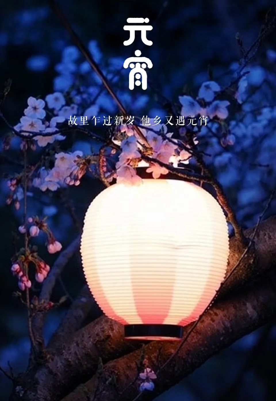 「美文美图」元宵节 | 好把元宵 良辰美景 暮暮朝朝